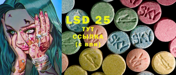 стафф Осинники