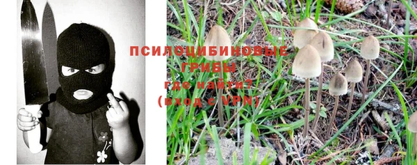 гидропоника Абаза