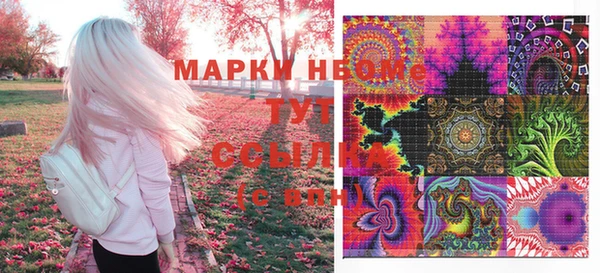 стафф Осинники