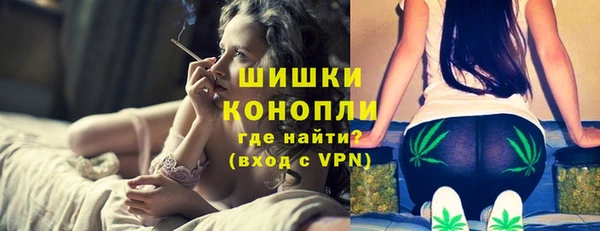 стафф Осинники
