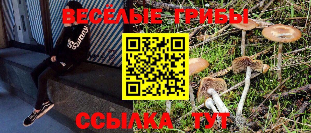 Полысаево  Галлюциногенные грибы GOLDEN TEACHER  как найти закладки  Вход с VPN 